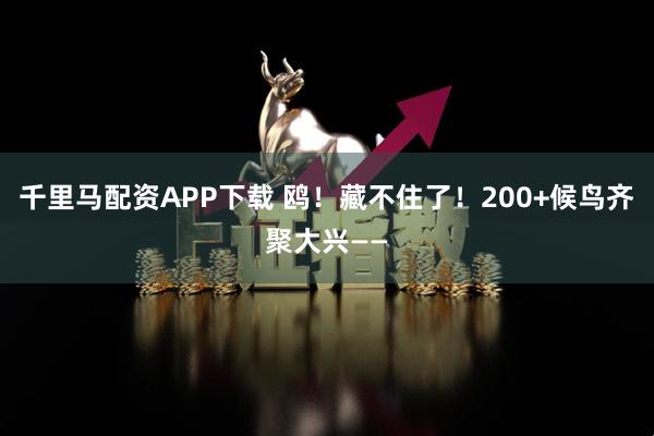 千里马配资APP下载 鸥！藏不住了！200+候鸟齐聚大兴——