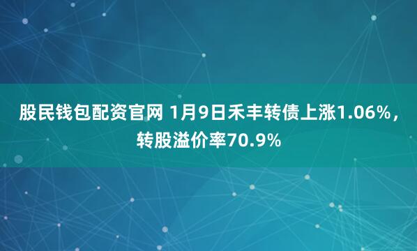 股民钱包配资官网 1月9日禾丰转债上涨1.06%，转股溢价率70.9%